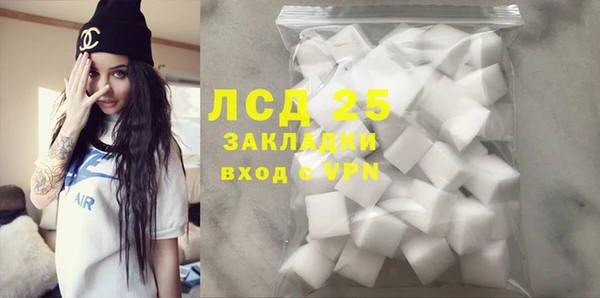 прущие грибы Белоозёрский