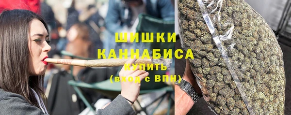 прущие грибы Белоозёрский