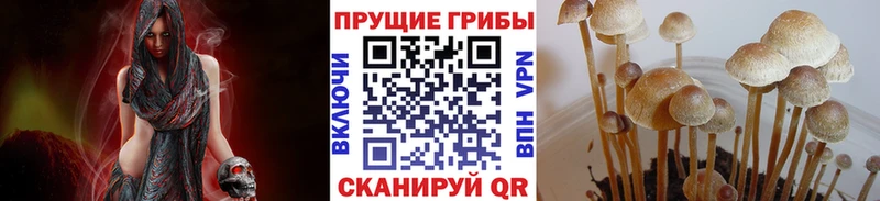 Псилоцибиновые грибы GOLDEN TEACHER Невель